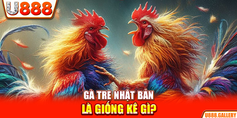 Gà tre Nhật Bản là giống kê gì?