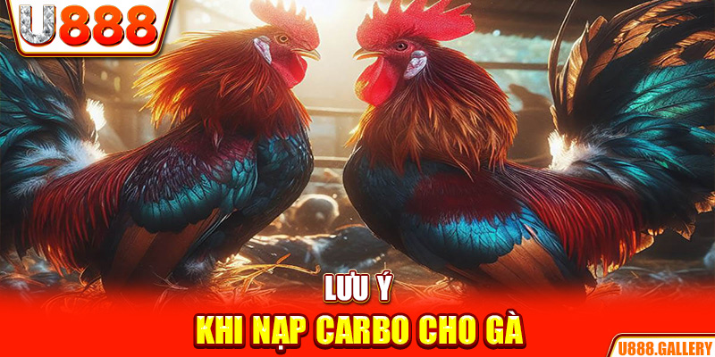 Lưu ý khi nạp carbo cho gà